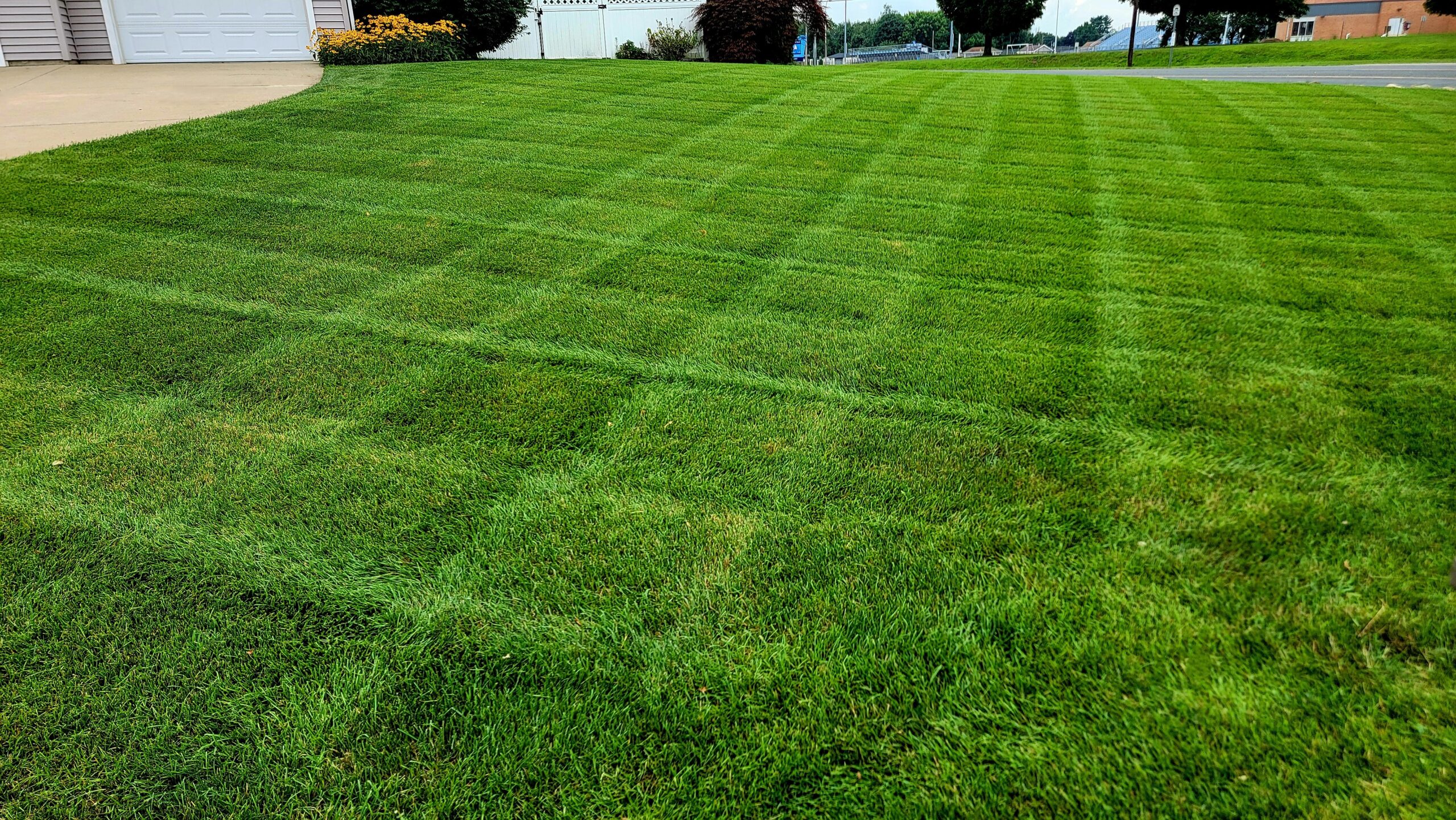 Lawn with stripes