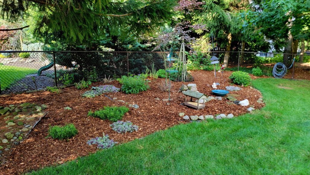 mulched bed